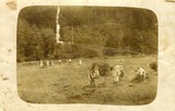 Senoseč na louce za Mašičkovým mlýnem (zač. 20.století)