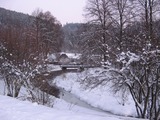 zima 2011